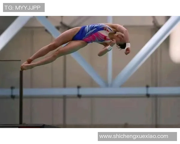 从惊险一跃到艺术之美探秘跳水运动的力量与优雅结合