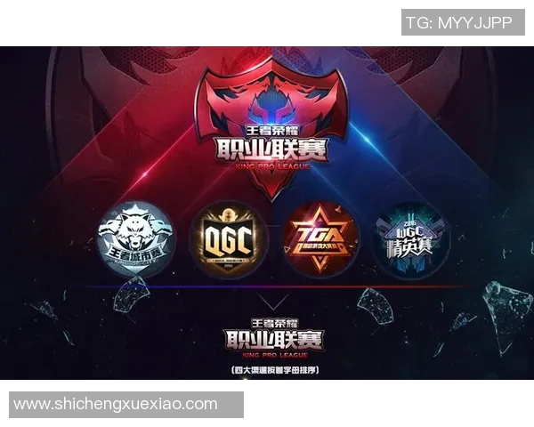 电竞职业联赛发展现状与未来趋势分析：挑战与机遇并存的行业前景