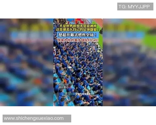 世界杯的激情与荣耀全球球迷共庆足球盛宴的无限魅力与梦想追逐