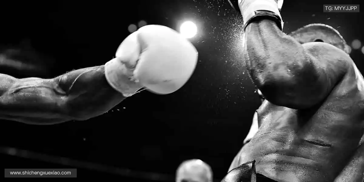 独家视角解读赛事，深度剖析战术精髓🎙️